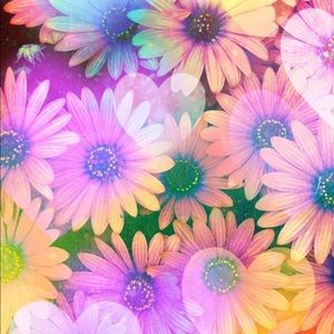 Meet your Posher, Violeta